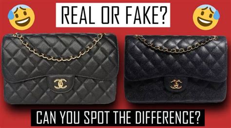 myhabit fake bag|counterfeit handbags.